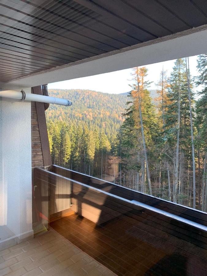Cioplea View Leilighet Predeal Eksteriør bilde